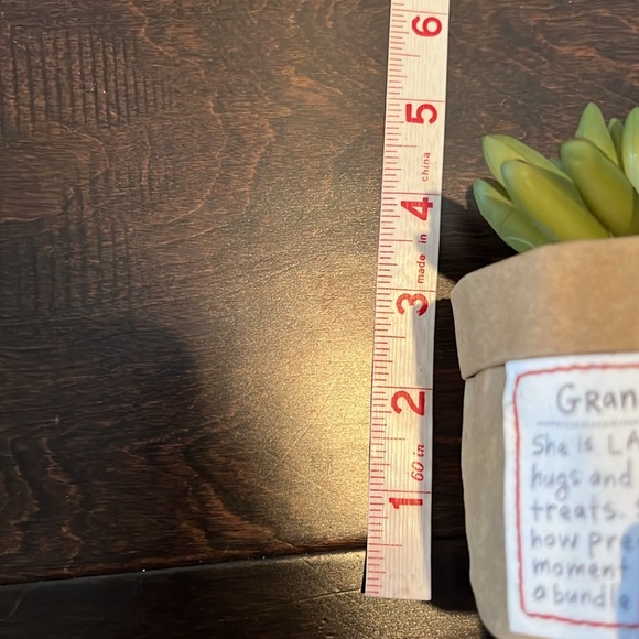 Grandma faux succulent plant - Picture 5 of 7